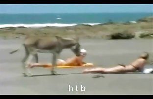 XXX معاون رئیس جمهور در کلیتوریس و فیلم سکسی 1080p لب دختر.